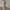 Zara Printed Straight Leg High Rise Jeans photo 3