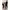 Converse Vintage Casual Sneakers Wanita black photo 2