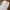 White flower baggy pants  photo 6