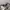 Topi Caps Alabama Crimson Tide Football Team Captivating photo 4