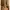 SHEIN Cowl Neck Satin Slip Dress photo 2
