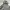 Fear Of God ESSENTIALS GREY HOODIE photo 3