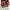 adidas sl72 vintage red photo 4