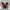 adidas sl72 vintage red photo 1