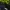O'Neill Vintage Y2K T-shirt Pria navy photo 3