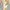 Converse Casual Sneakers Wanita tan cream photo 8