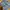 Jorts pants jorts cargo celana pendek photo 3