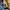 Jorts pants jorts cargo celana pendek photo 4
