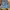 Jorts pants jorts cargo celana pendek photo 1