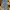 Jorts pants jorts cargo celana pendek photo 5