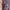 Kebaya 1 set  photo 2