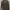 CN GUESS photo 2