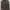 CN GUESS photo 1
