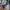 hp Google Pixel 6 Pro 12/128 photo 4