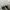 Rare Converse Chuck Taylor All Star 70S High Black White Ori photo 7