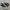Rare Converse Chuck Taylor All Star 70S High Black White Ori photo 2