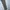 Long Pants Element Skateboard loose fit size 38 photo 5