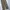 Long Pants Element Skateboard loose fit size 38 photo 4