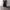 {EMBA INTERNASIONAL} BIG POKET Y2K  photo 2