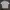 T-SHIRT LYNX photo 1