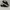 Puma Madison Suede Velcro Black White photo 1