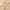 Marc Jacobs Luxury Minimalist Cardigan Wanita tan photo 5