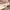 Marc Jacobs Luxury Minimalist Cardigan Wanita tan photo 8