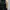 General Idea Canvas Fishtail Jacket
 photo 2