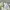 GU BROKEN WHITE HALFZIP KNIT SWEATER photo 7
