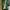Converse one star green suede  photo 2