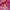 PUMA Archive Y2K Flare Track Pants – Pink Orchid 🌸✨ photo 5
