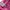 PUMA Archive Y2K Flare Track Pants – Pink Orchid 🌸✨ photo 4
