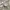 Bucket hat kids  zara X 100 th anniversary disney like new photo 5