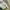 Bucket hat kids  zara X 100 th anniversary disney like new photo 3
