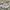 Bucket hat kids  zara X 100 th anniversary disney like new photo 4