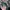 NEW YORK JETS NFL CAP BY PUMA photo 5