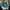 NEW YORK JETS NFL CAP BY PUMA photo 1