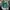 NEW YORK JETS NFL CAP BY PUMA