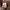 Hoodie HAGT Brown photo 3