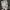 carhartt x stussy x haze active jacket vtg photo 7