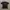 Google Promo Tee photo 2