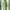AKRIS Motive Midi Dress photo 1