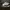 sepatu jordan 11 low photo 1