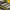 Adidas SL 72 photo 6