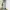 Japanesse 00s lightblue jeans straigh fit photo 3