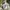 Uniqlo Hybrid Seambles Down Jacket Like tnf,monbell,fjallraf photo 1