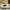 Nike Sportswear Sneakers Pria purple white black photo 8