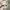 Oakley E Wire Vintage | Y2K | Gorpcore