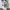 Top Broken White photo 1