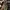 Variety Starbucks US Cities Thermos Tumbler  photo 6
